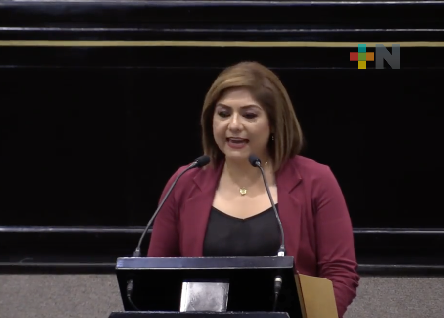 Adición al Código Electoral de Veracruz permitirá a personas con discapacidad participar en política: Diputada